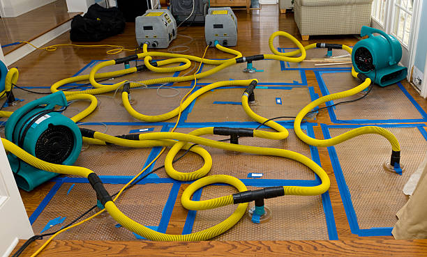 Professional Storm Water Damage Restoration technician working in Pell Lake, WI